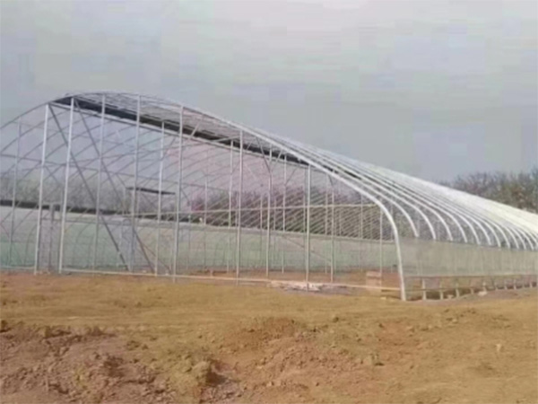 日光溫室