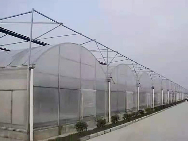 連棟溫室大棚