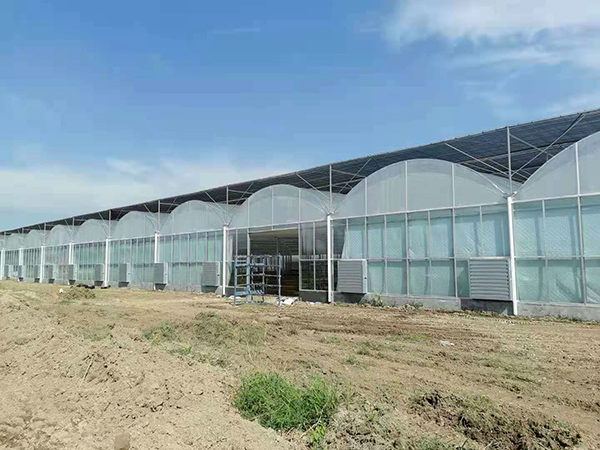 連棟溫室大棚