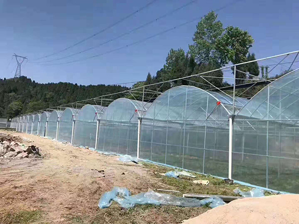 連棟溫室大棚