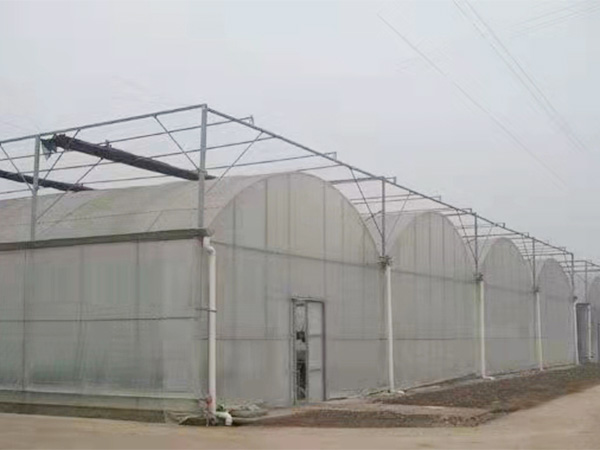 連棟溫室大棚