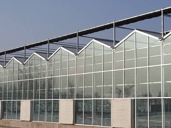文絡溫室大棚